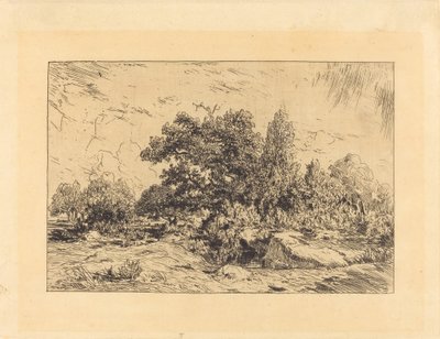 Vue du Plateau de Bellecroix - Theodore Rousseau
