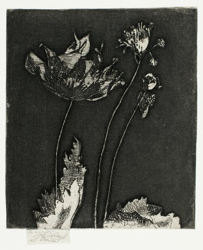 Derniers coquelicots - Theodore Roussel