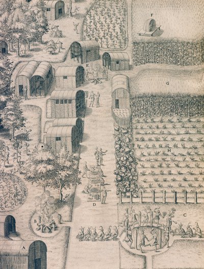Un village indien entouré de terres cultivées en Virginie - Theodore de Bry