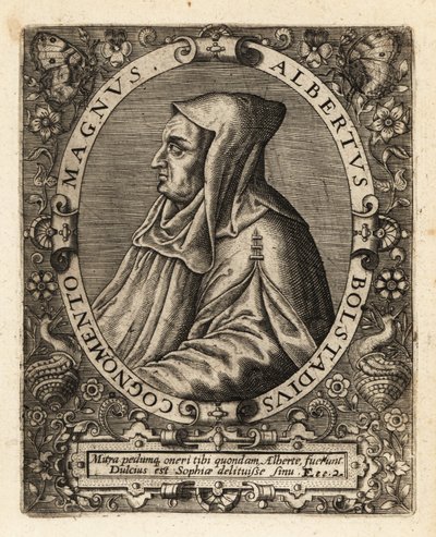 Albertus Magnus, évêque catholique allemand - Theodore de Bry