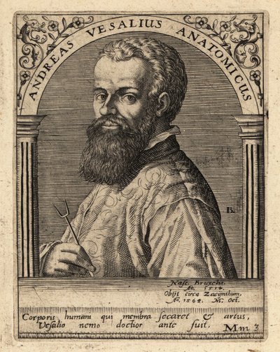 Andreas Vesalius, médecin et anatomiste flamand - Theodore de Bry