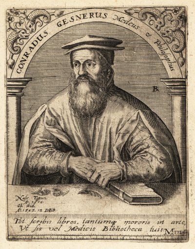 Conrad Gessner, médecin suisse - Theodore de Bry