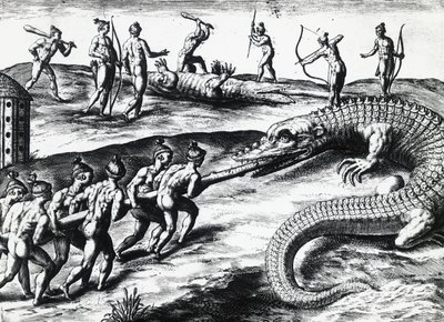 Chasse au crocodile en Floride, d