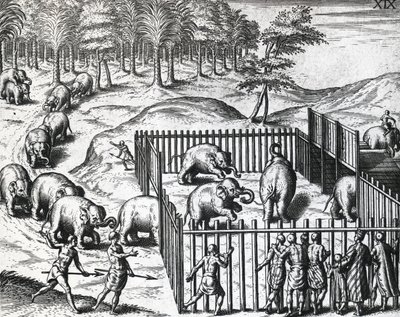 Chasse à l