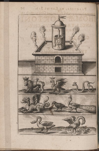 Illustration pour Tripvs avrevs, hoc est, Tres tractatvs chymici selectissimi.., 1618 - Theodore de Bry