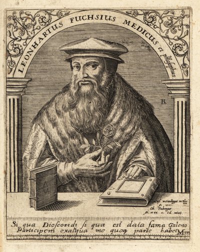 Leonhart Fuchs, médecin et botaniste allemand 1501-1566 - Theodore de Bry