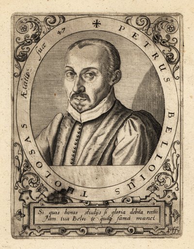 Pierre de Belloy, juriste et magistrat français - Theodore de Bry