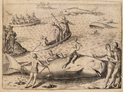 Chasse à la baleine près de Spitsbergen, gravure de Theodor de Bry (1528-1598) de India Orientalis (Inde Orientale) - Theodore de Bry