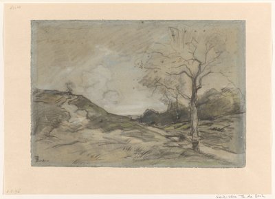 Paysage de dunes - Theophile de Bock