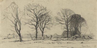 Paysage avec des arbres - Theophile de Bock