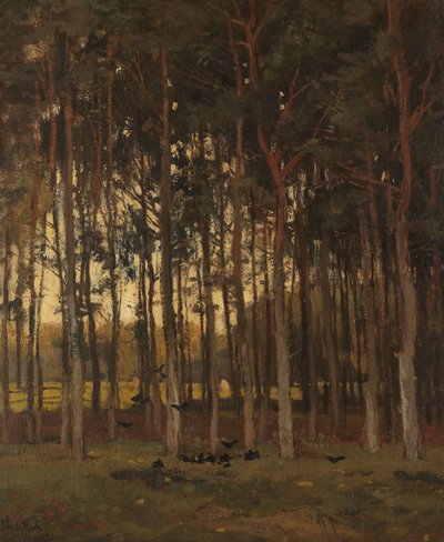  - Theophile de Bock