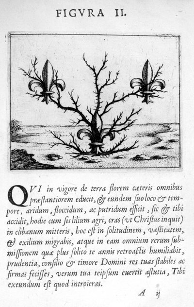 Figure de prophétie II de Prognosticatio Eximii Doctoris Paracelsi, 1536 - Theophrastus Bombastus von Hohenheim Paracelsus