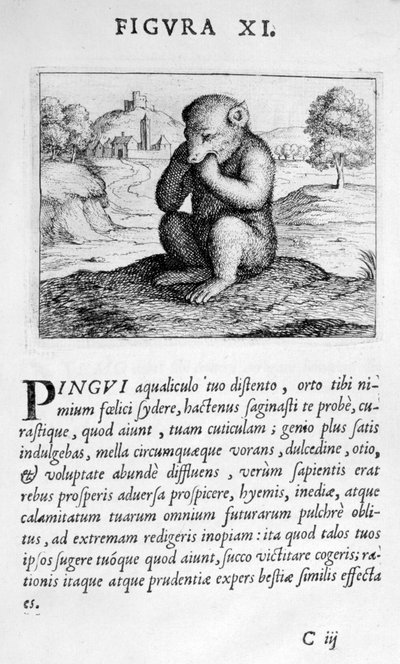 Figure de prophétie XI de Prognosticatio Eximii Doctoris Paracelsi - Theophrastus Bombastus von Hohenheim Paracelsus