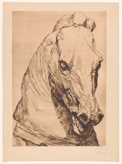 Tête de licorne d