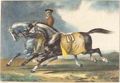 Deux chevaux gris pommelé que l