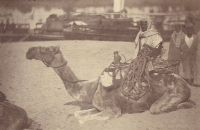 [ Un homme nord-africain sur un chameau au bord du Nil] - Théodule Devéria