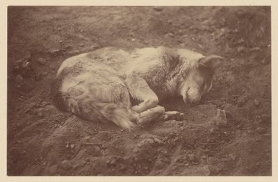 [Sleeping Dog] (chien couchant) - Théodule Devéria