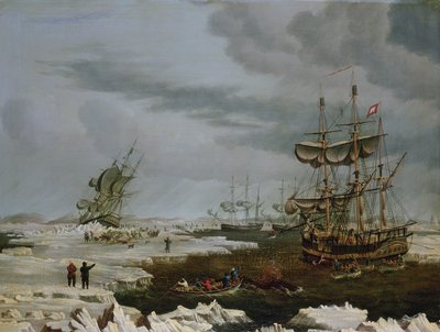 Baleiniers de Hull dans l