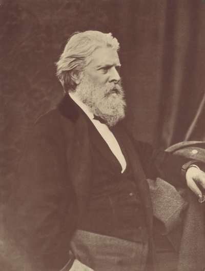 Portrait de D.O. Hill, 1867, imprimé vers 1900 - Thomas Annan