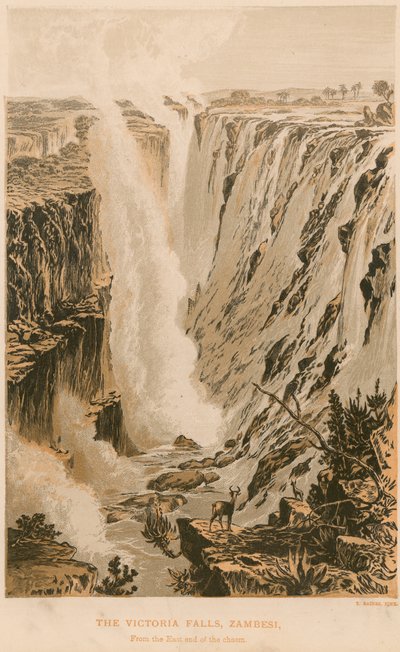 Les chutes Victoria - Thomas Baines