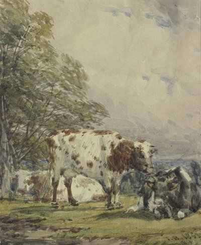 Étude de bétail, 19ème siècle - Thomas Baker