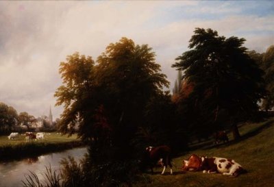 Bétail broutant près d