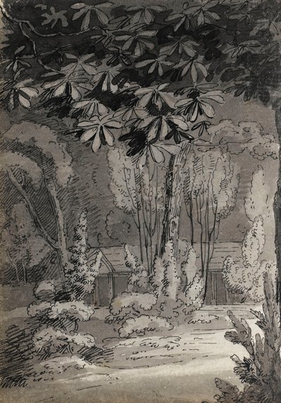 Vue à travers les arbres vers un bâtiment de plain-pied - Thomas Baxter