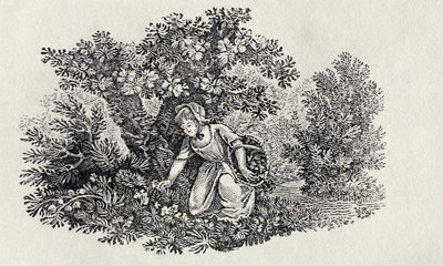 Une fille cueillant des fleurs de 