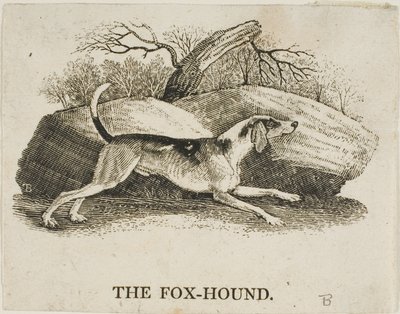 Chien de chasse - Thomas Bewick