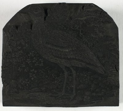 Bloc de bois pour Le Grand Pluvier, de Une Histoire des Oiseaux Britanniques - Thomas Bewick