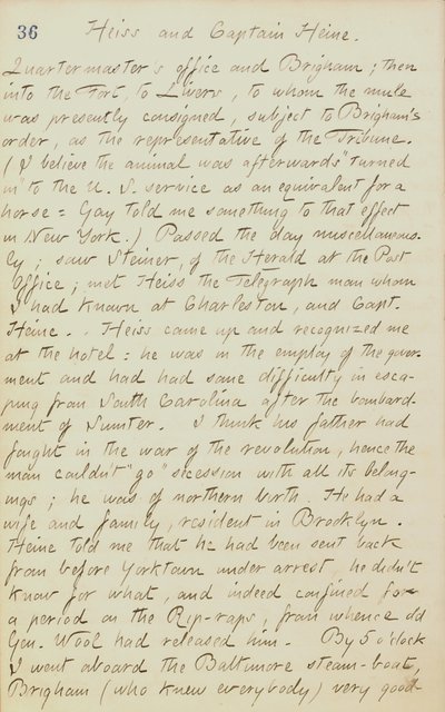 Thomas Butler Gunn Journaux- Volume 20, page 44, 4 juin 1862 - Thomas Butler Gunn