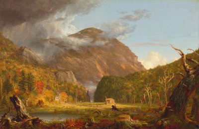 Vue du col de montagne appelé la Notch des Montagnes Blanches - Thomas Cole
