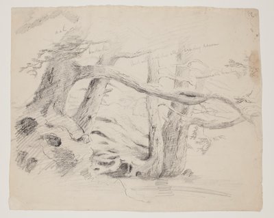 Chênes et pruches - Thomas Cole