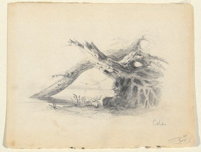 Esquisse de deux arbres morts - Thomas Cole