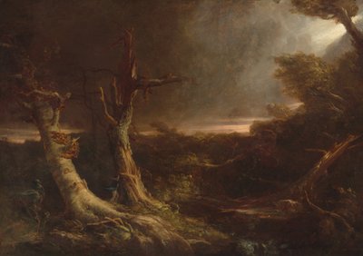Tornade dans une forêt américaine - Thomas Cole