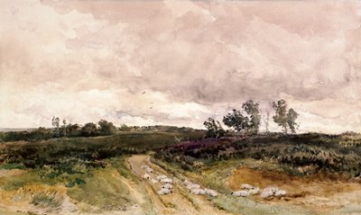 Scène de lande - Thomas Collier