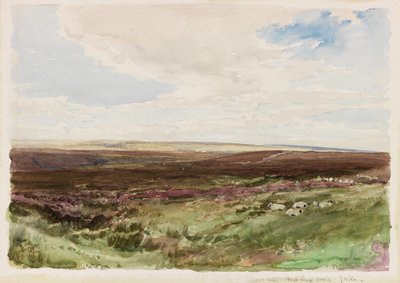 Lande près de Hart Leap Well, Yorkshire - Thomas Collier