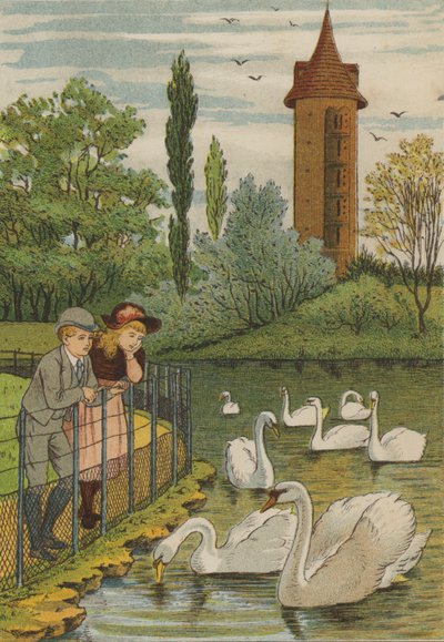 Paris : les cygnes - Thomas Crane