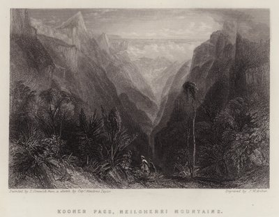 Col de Kooner, montagnes de Neilgherri - Thomas Creswick