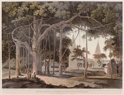 Temples hindous à Agouree sur la rivière Soane - Thomas Daniell