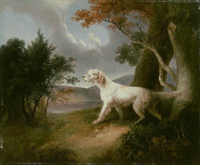 Paysage avec chien - Thomas Doughty