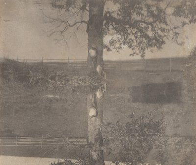 [Les enfants Crowell à Avondale, Pennsylvanie] - Thomas Eakins