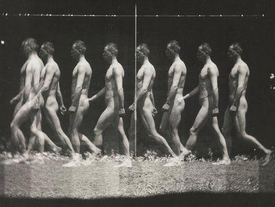 [Homme marchant, photographie stroboscopique], années 1880, imprimé années 1930-40 - Thomas Eakins