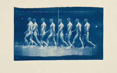 Photographies de la roue de Marey de Jesse Godley - Thomas Eakins