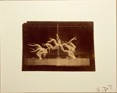 Photographies de la roue de Marey d