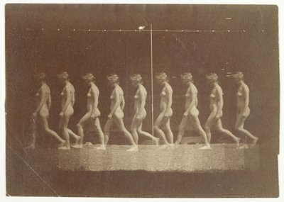 Photographies de la roue de Marey d