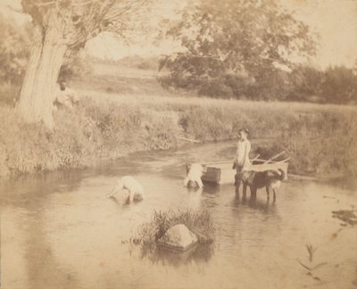 Trois enfants et un chien jouant dans le ruisseau - Thomas Eakins