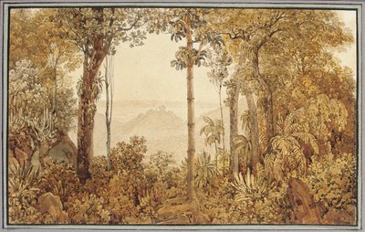 Vue sur Rio de Janeiro depuis la forêt de Tijuca - Thomas Ender