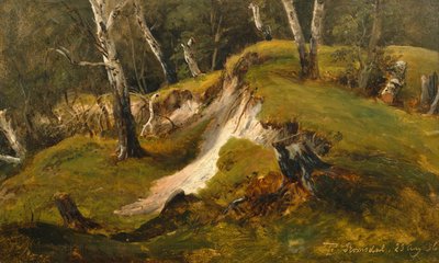 Stocks de Birck à Romsdal - Thomas Fearnley