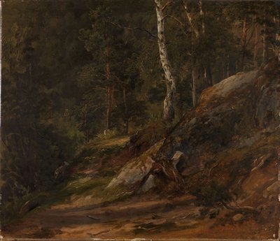 Étude forestière du Romsdal - Thomas Fearnley